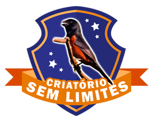 logotipo